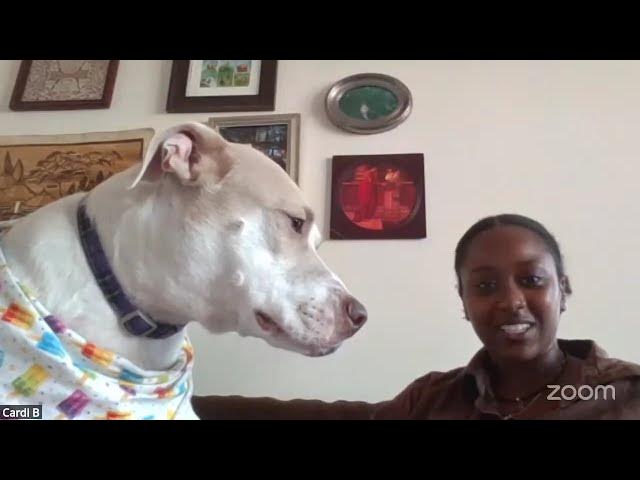 Cardi (12)