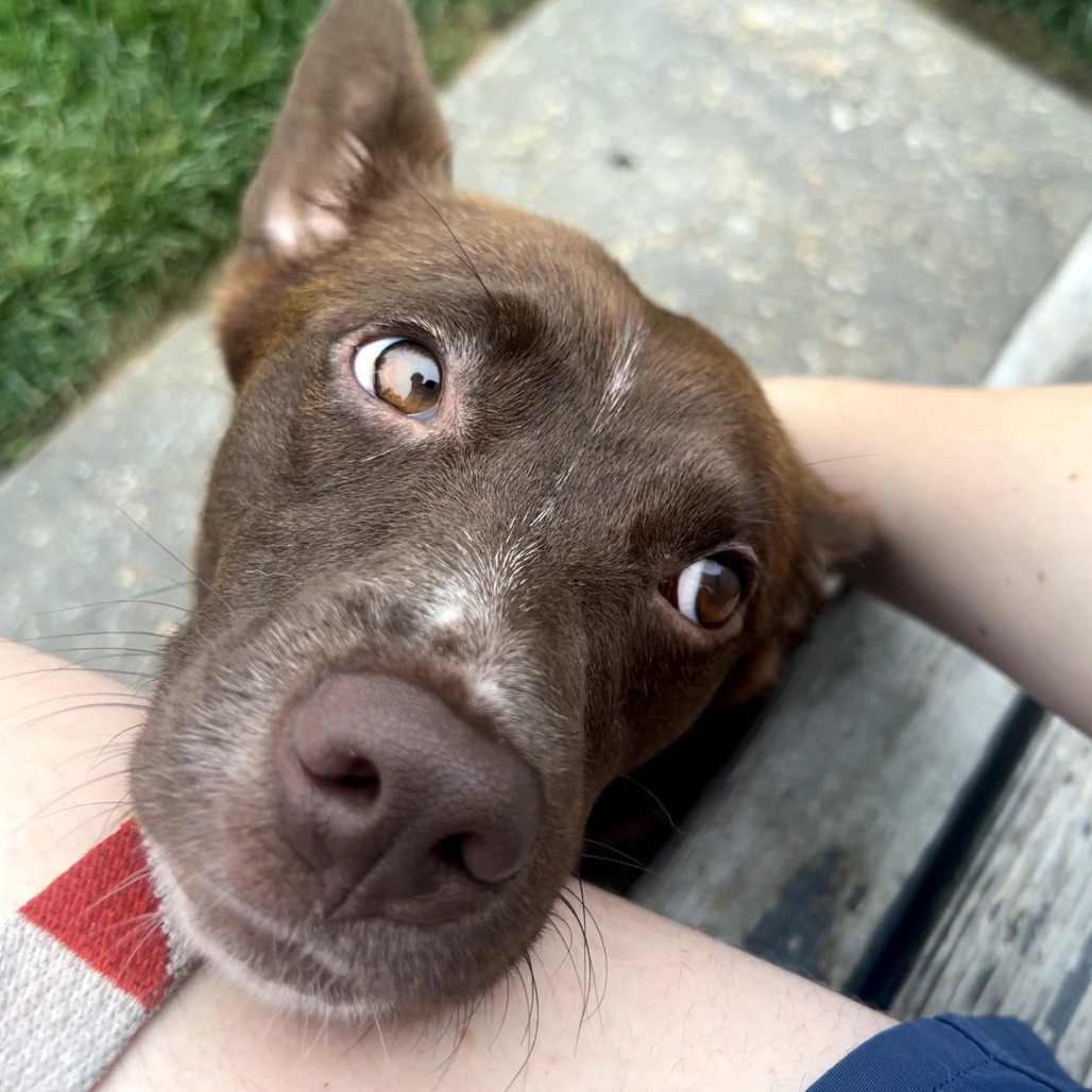 Coco (3)
