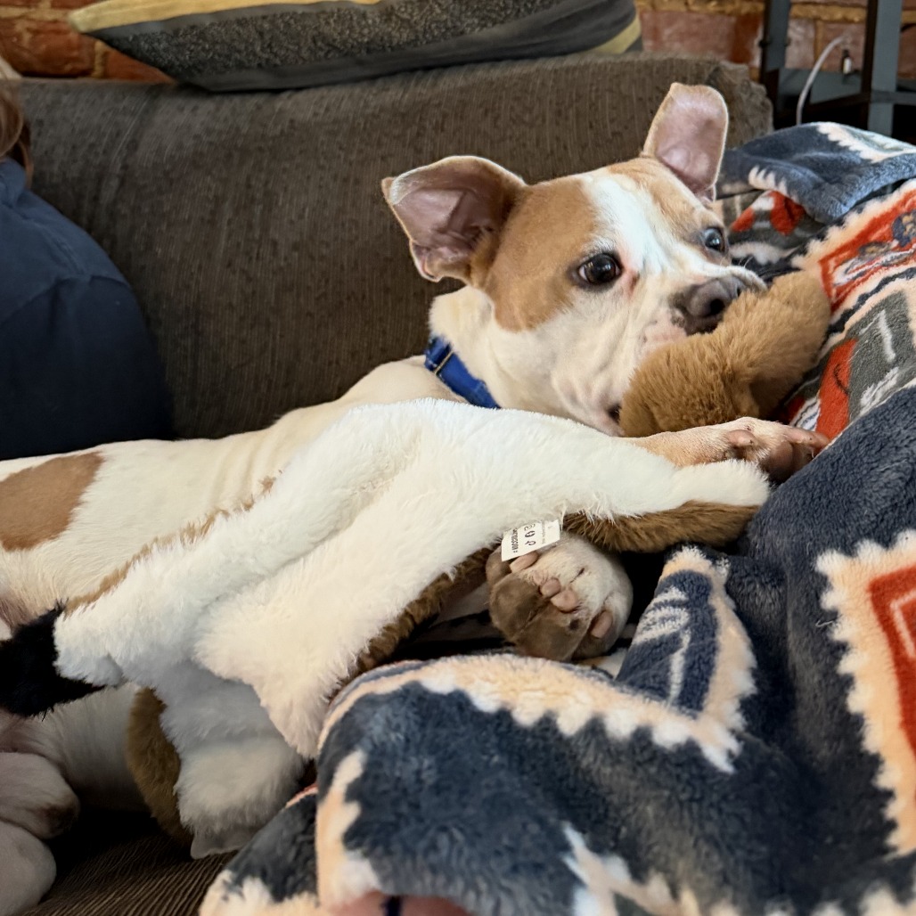 Garrett (1)