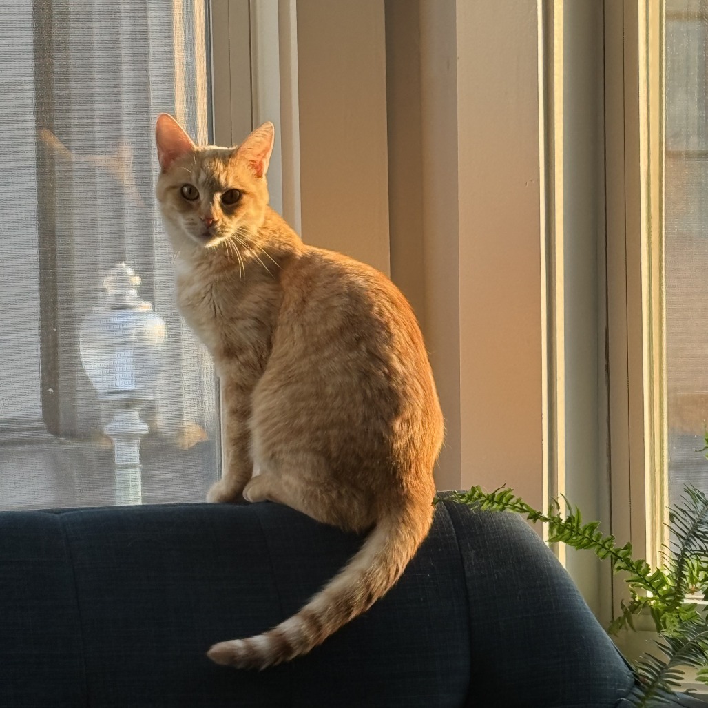 Gina (2)