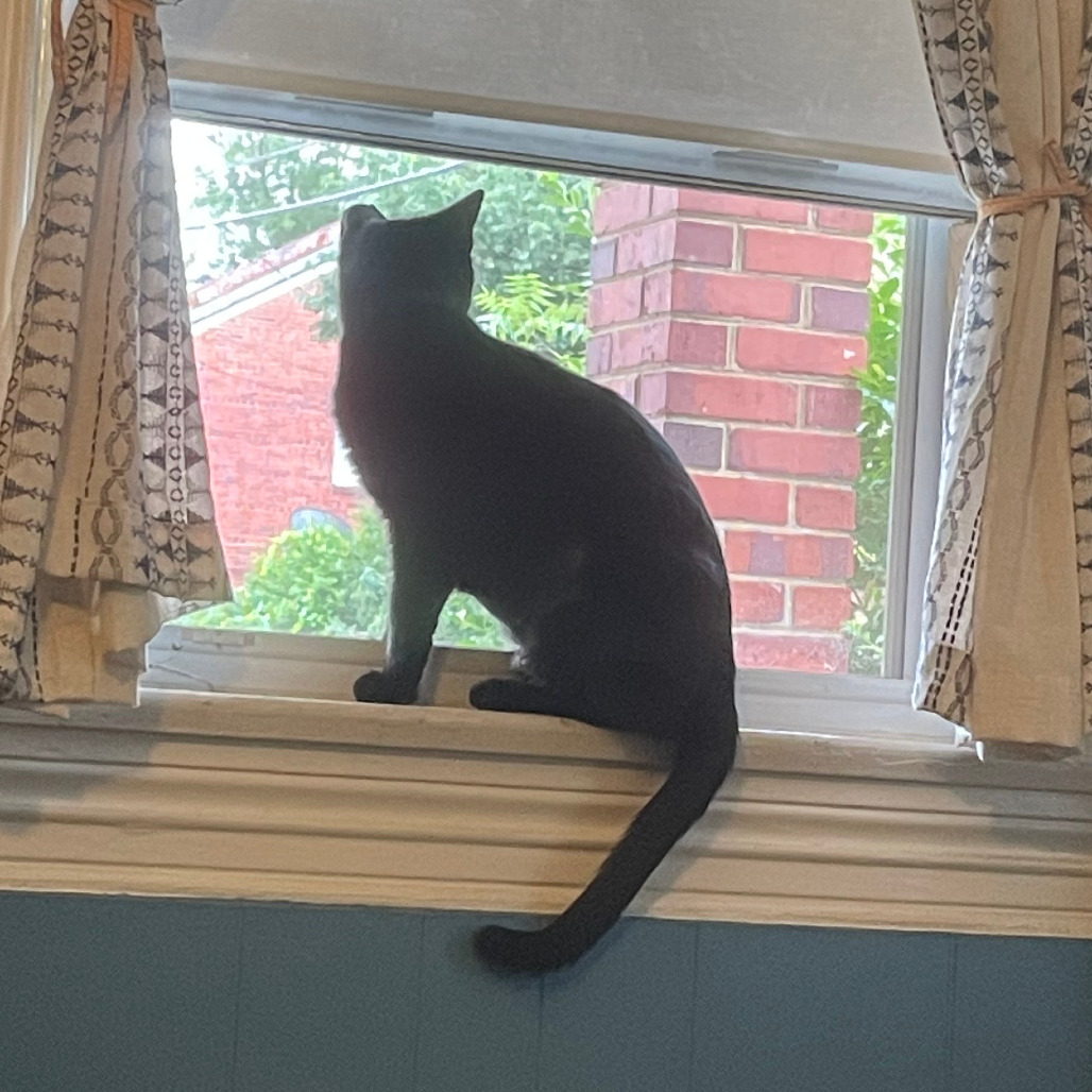 Mama (2)