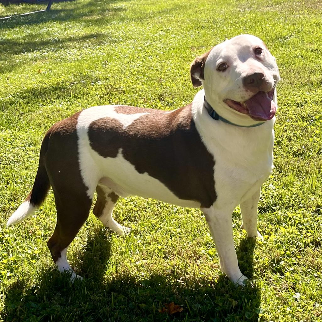 Rocco (1)