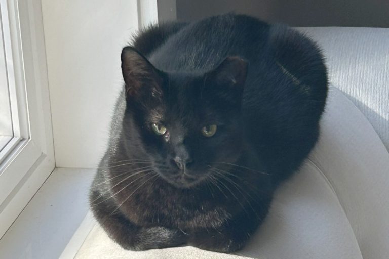 Mama (3)